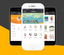 app开发 网站建设｜app 微信小程序定制开发｜全行业推广