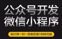 SAAS开发/小程序公众号/企业设计