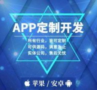 SAAS开发/小程序公众号/企业设计