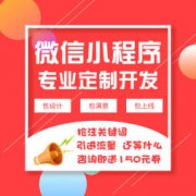 saas网站建设、微信小程序开发、网站制作、百度小程序