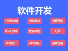 python数据分析处理java服务工具saas系统软件开发