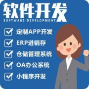 python数据分析处理java服务工具saas系统软件开发 python数据分析处理java服务工具saas系统软件开发