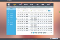 使用双USB单片机完成RNDIS网络共享