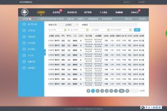 使用双USB单片机完成RNDIS网络共享