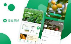 工具系统开发/软件开发/科研项目开发/创新服务工具